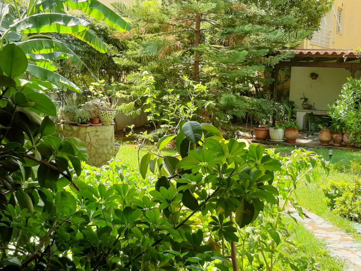 Lovely House أثينا المظهر الخارجي الصورة